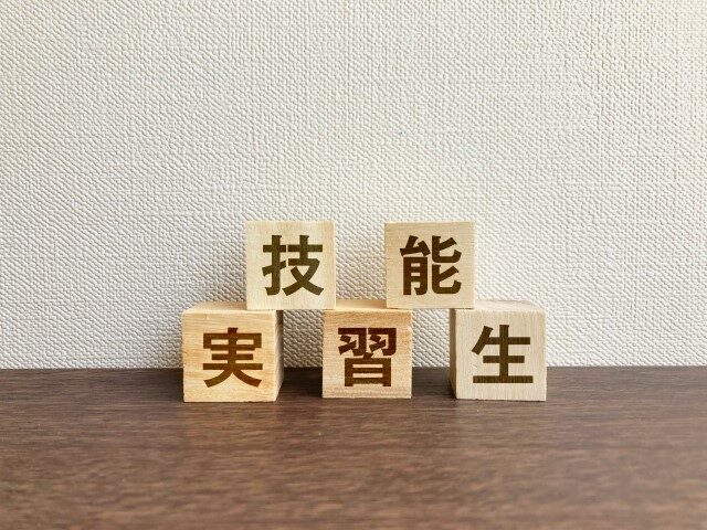 日本における外国人受け入れ制度とは?技能実習や特定技能、高度人材について解説